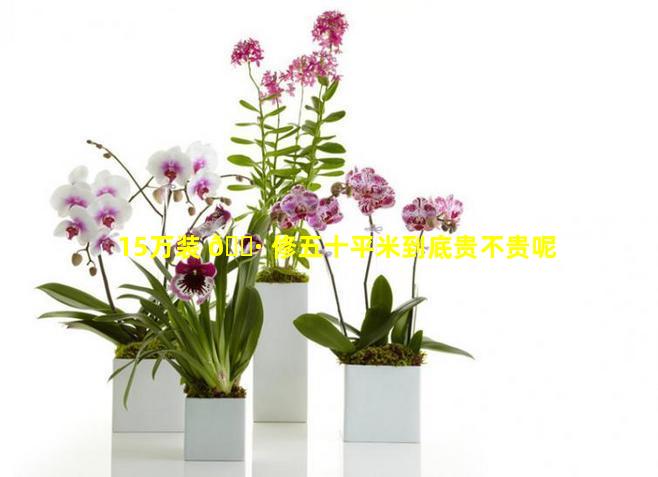 15万装 🌷 修五十平米到底贵不贵呢